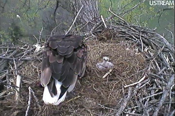 ScreenHunter_52 Mar. 31 20.39.jpg